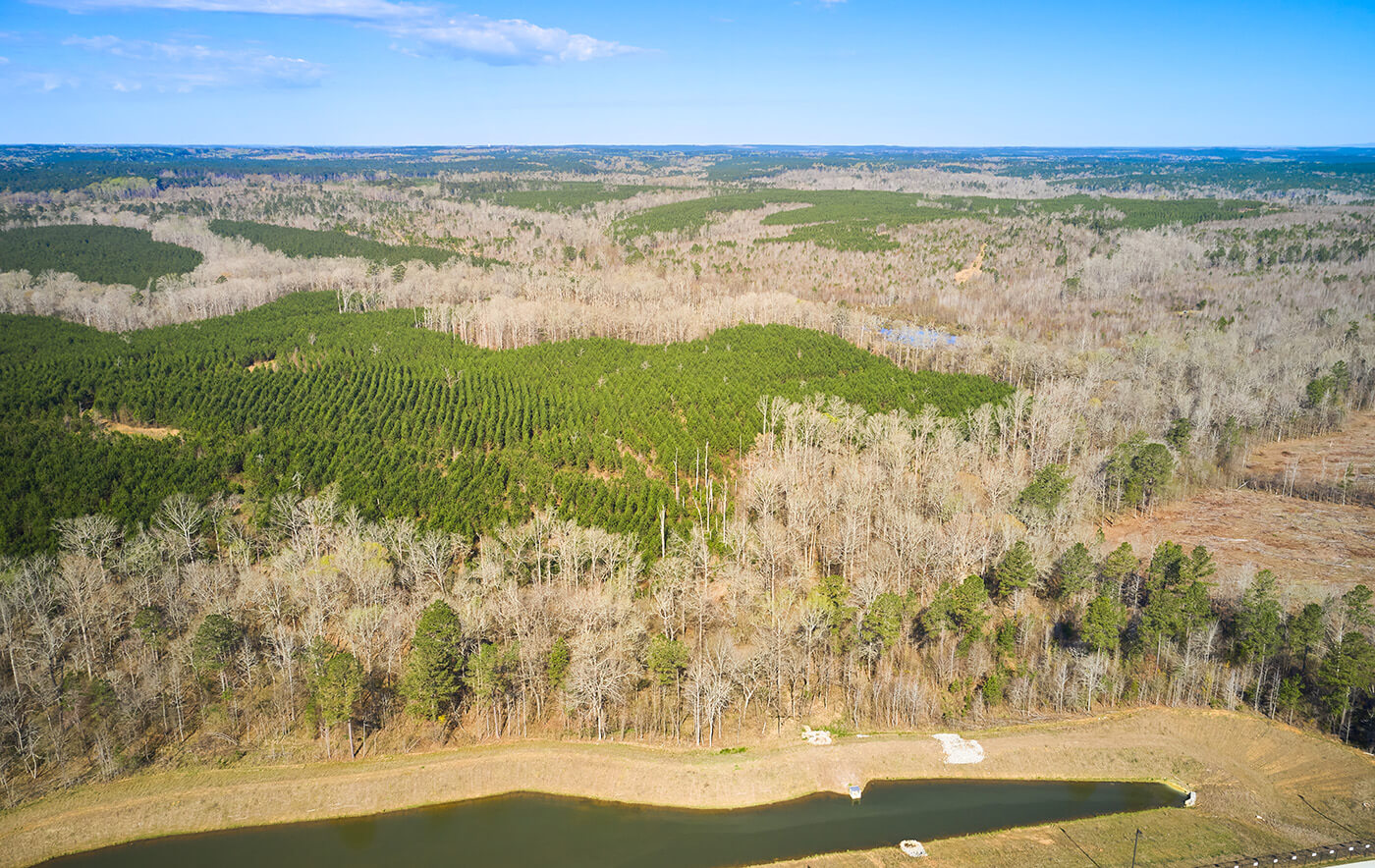 White Oak Undeveloped Land